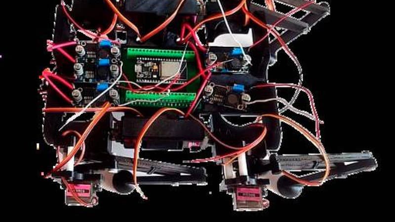 Micro Quadruped Robot